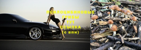 apvp Беломорск