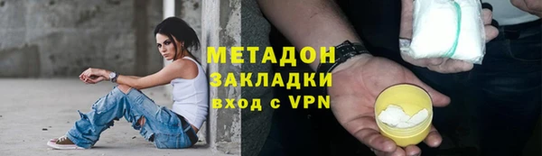 прущие грибы Лабытнанги