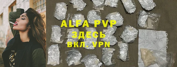 прущие грибы Лабытнанги